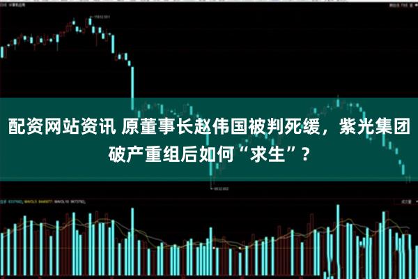 配资网站资讯 原董事长赵伟国被判死缓，紫光集团破产重组后如何“求生”？