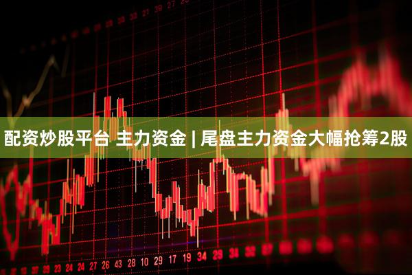 配资炒股平台 主力资金 | 尾盘主力资金大幅抢筹2股
